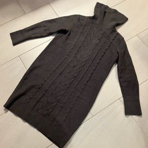 Incredibly Warm Banana Republic Sweater Dress